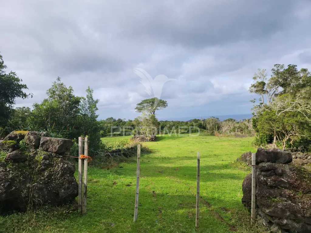 Jardin - Pasture Land with Sea View in Bandeiras