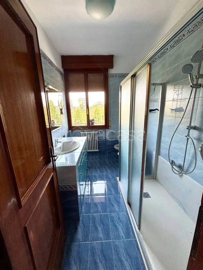 Vannitoad - Spacious Apartment with Balcony in Modena