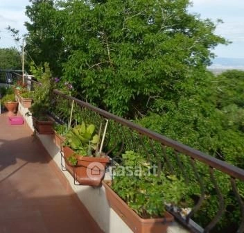 Terrasse - Independent Villa with Garden in Macomer