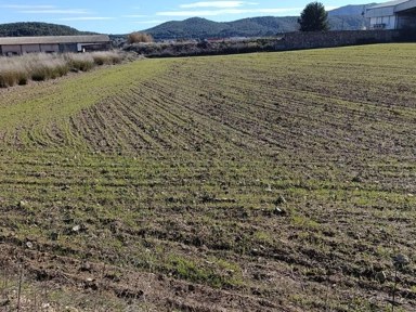 Tutte le foto (9) - Agricultural Land near Cehegín, Murcia