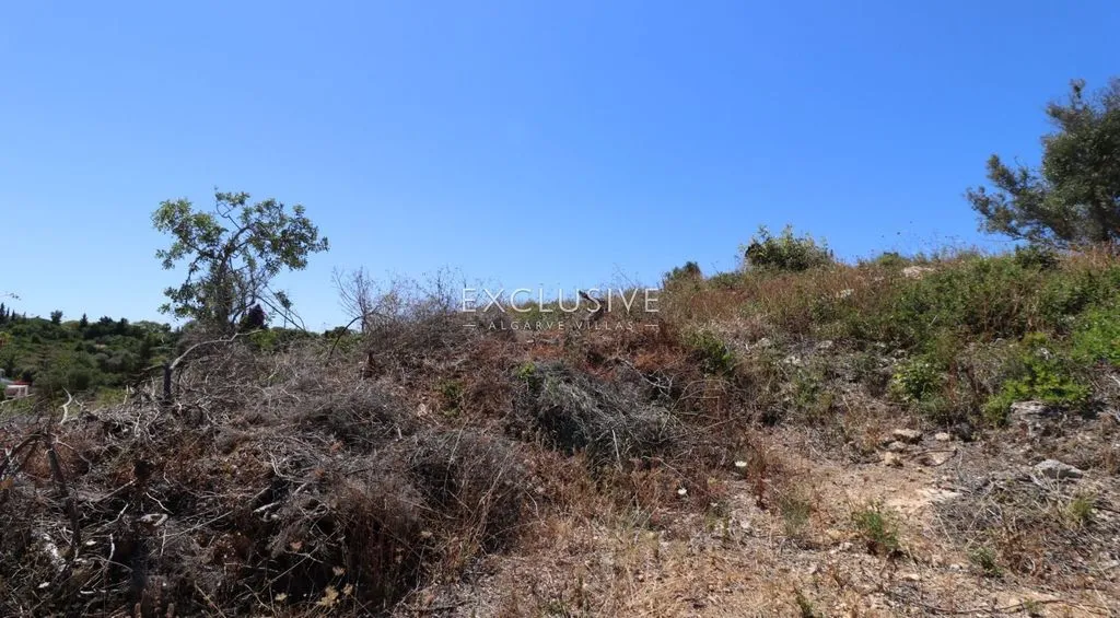 Garden - Development Land with Sea Views in Carvoeiro