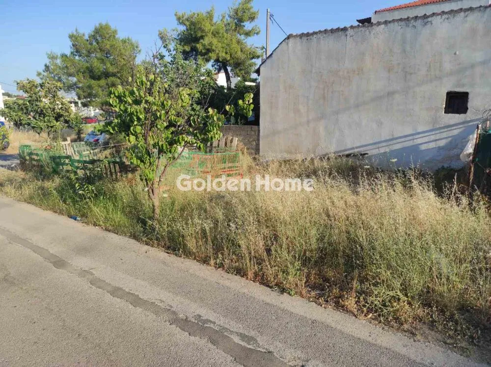 Jardin - Corner Plot with Building Potential in Ano Liosia
