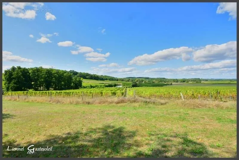 Aed - Charming Stone House with Pool in Gironde