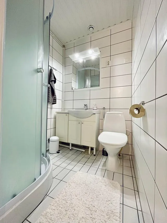 Bagni - Spacious House with Sauna in Ranua