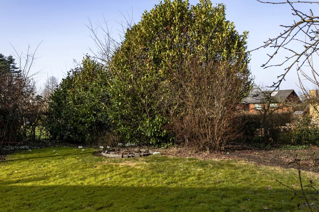 Jardin - 1956 Villa with Garden in Fredericia
