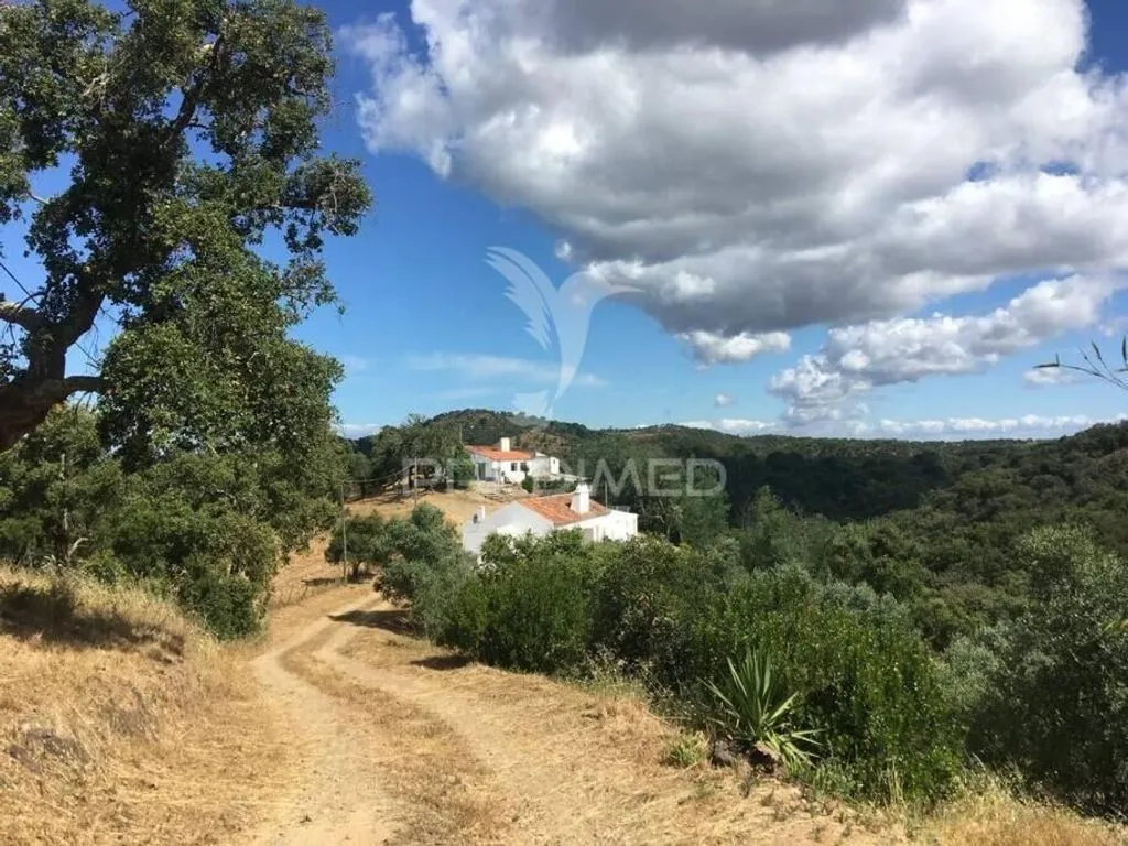 Jardin - Rustic Land with Protected Oak Grove in São Francisco da Serra