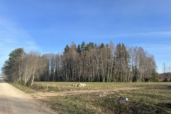 Giardino - Land Plot with Forest Cover near Võru