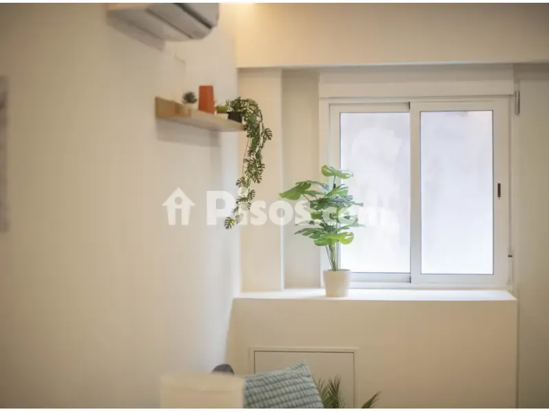 Vannitoad - Studio Flat with Patio in Carrer de la Mare Eterna