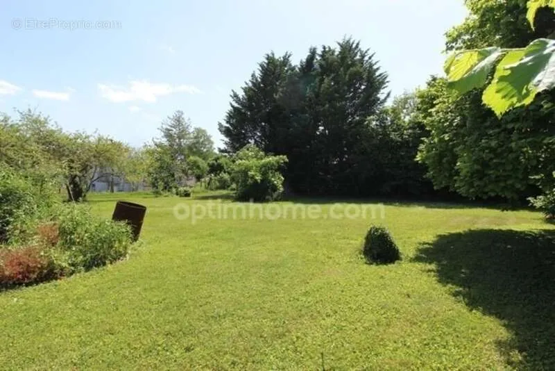 Jardin - Terrain Plat à Bâtir dans le Montois
