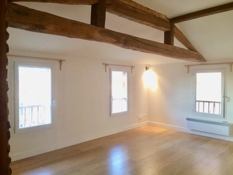 Toad - City Centre Flat with Mezzanine in Lavaur