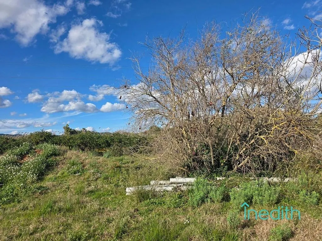 Jardin - Rustic House with Farmyard in Gavà