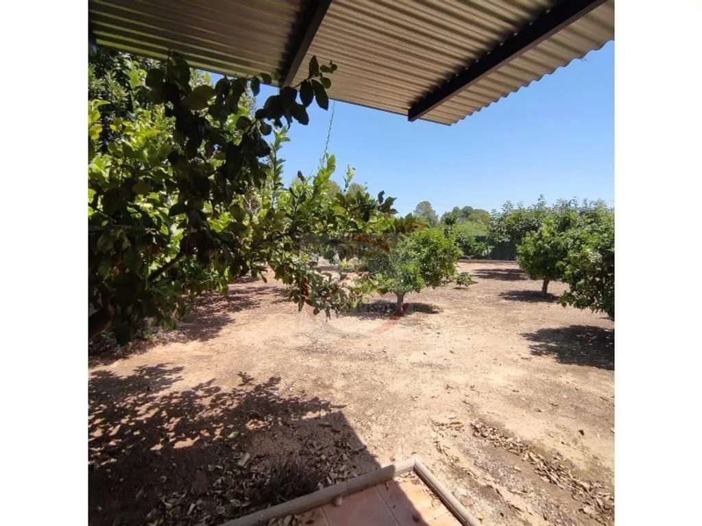 Aed - Luxury Villa with Pool in Bellús, Valencia