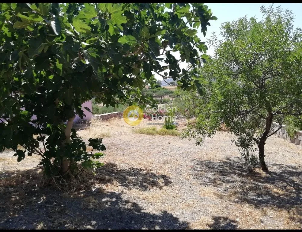 Garden - Building Land with Mountain View in Syros - Poseidonia