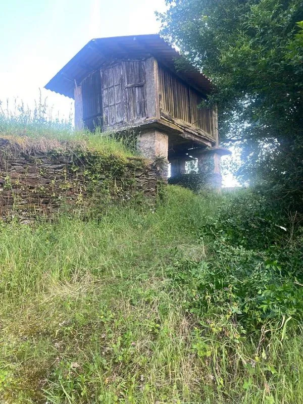 Välivaade - Restoration-Ready Stone Chalet in Pino (O)