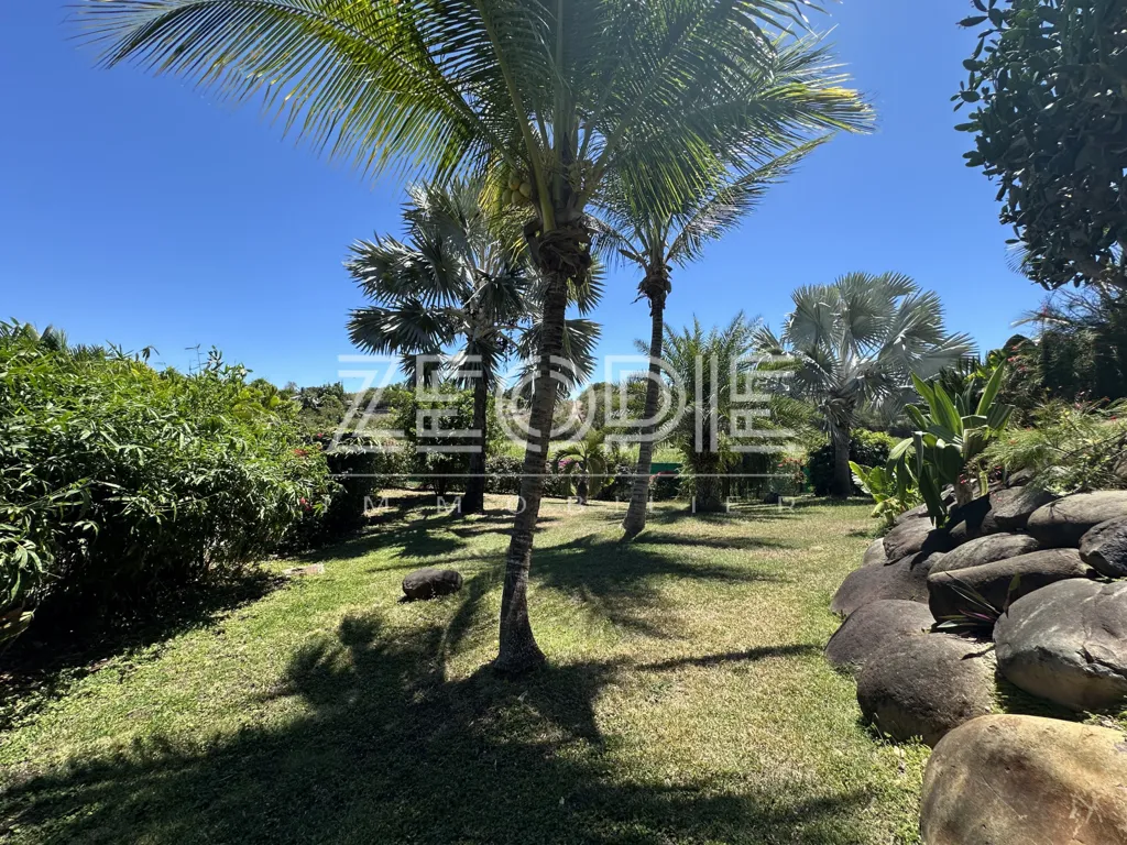 Jardin - Villa d'Architecte avec Piscine à Saint-François