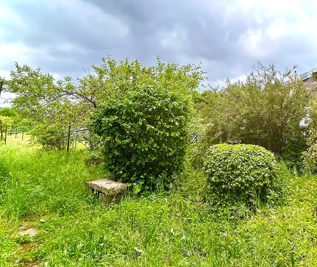 Jardin - Maison au Calme avec Jardin à Flavigny-sur-Moselle