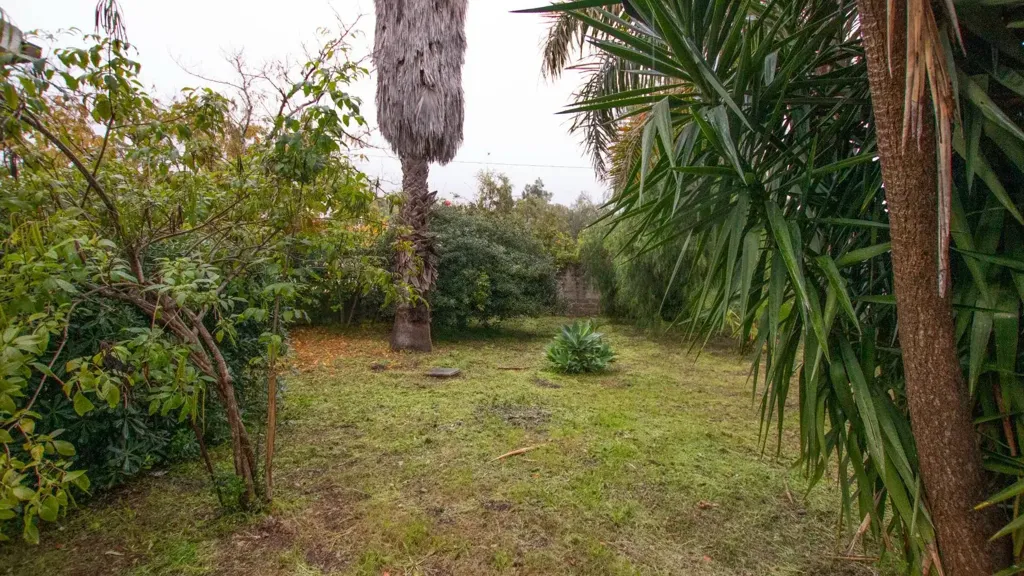Jardin - Villa with Garden in Cavasecca, Noto
