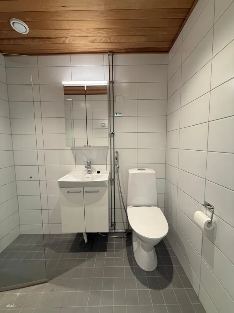 Vannitoad - Studio Flat with Kitchenette in Eastern Centre, Turku