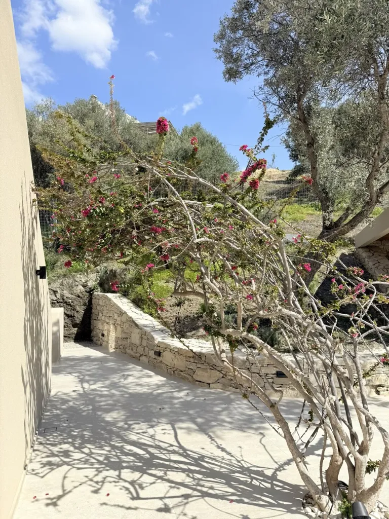 Aed - Villa with Sea Views in South Crete