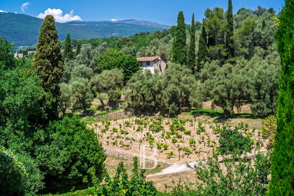 Jardin - Bastide Luxueuse avec Piscine à Grasse