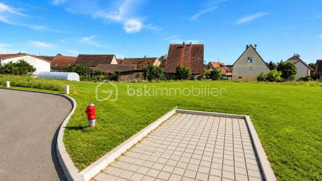 Välivaade - Viabilised Plot near Colmar