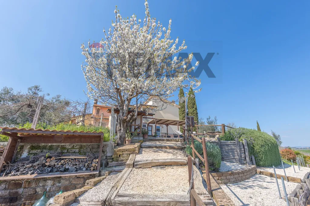 Jardin - Agriturismo with Pools in Magliano Sabina