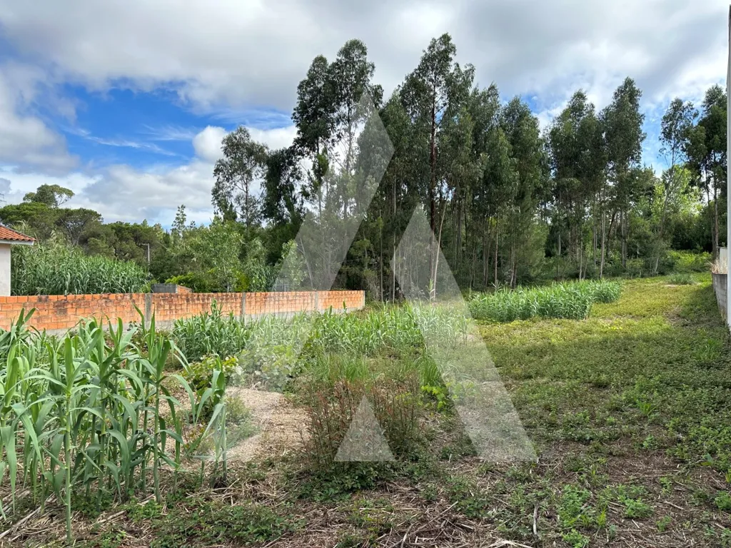 Jardin - Construction Plot with Two Frontages in Bustos