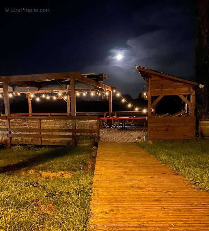 Terrass - Bar/Restaurant with Loire View in Saint-Satur