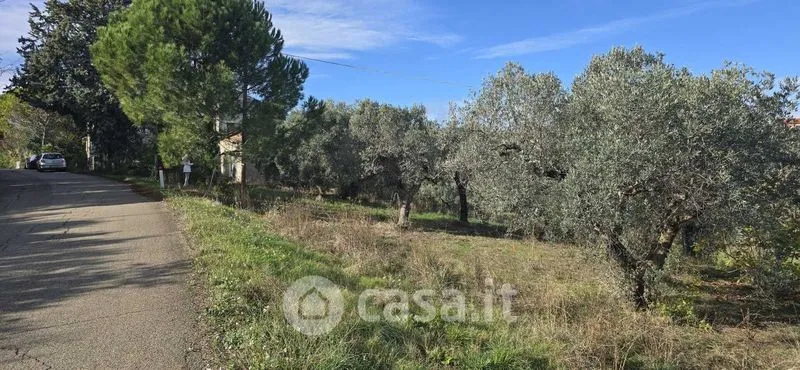 Jardin - Rustic Casale with Panoramic View in Villalfonsina