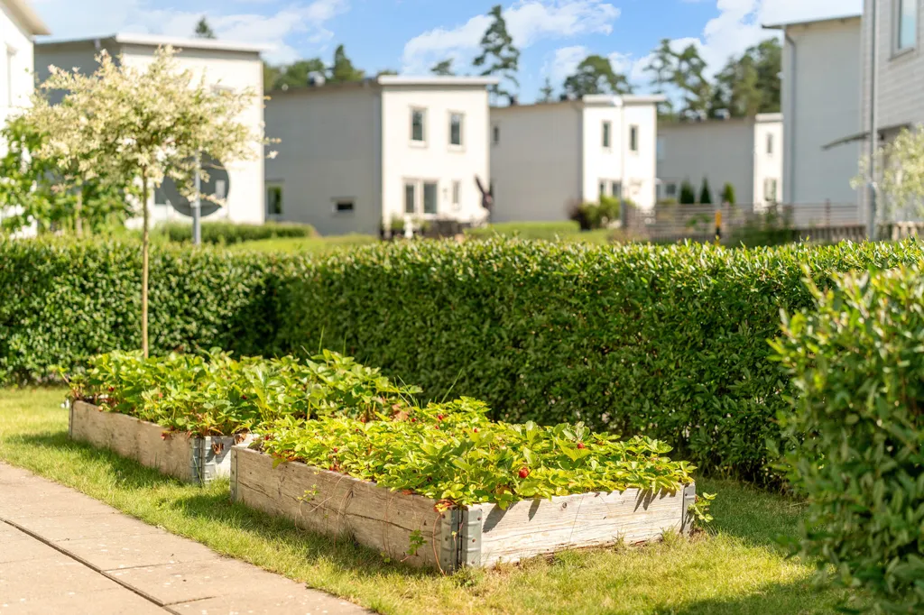 Garden - Modern Villa with Garden in Sunny Location