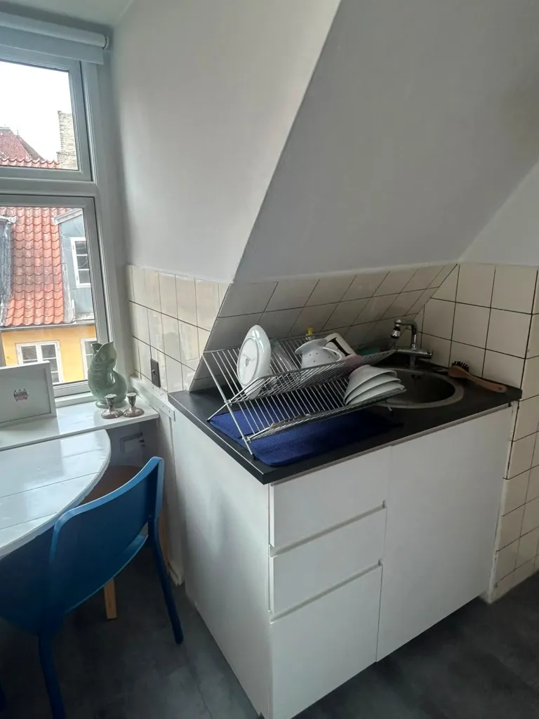 Kitchen - 1-Bedroom Flat with Central Location in Copenhagen