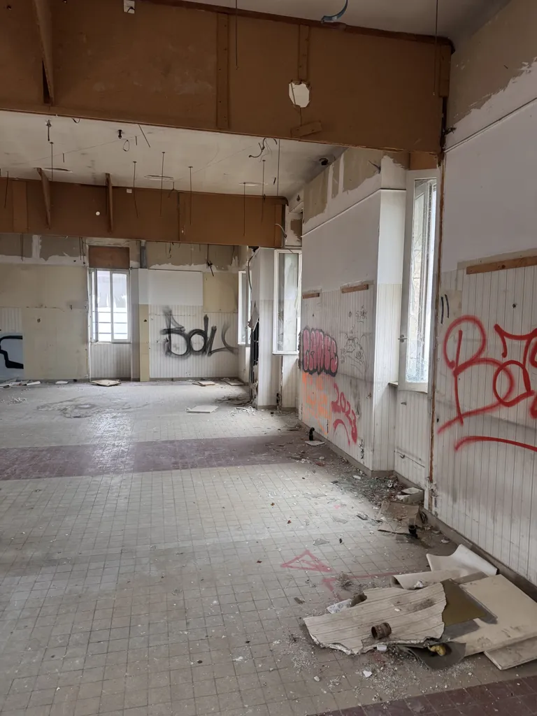 Toad - Investment Building with 11 Units in Mâcon