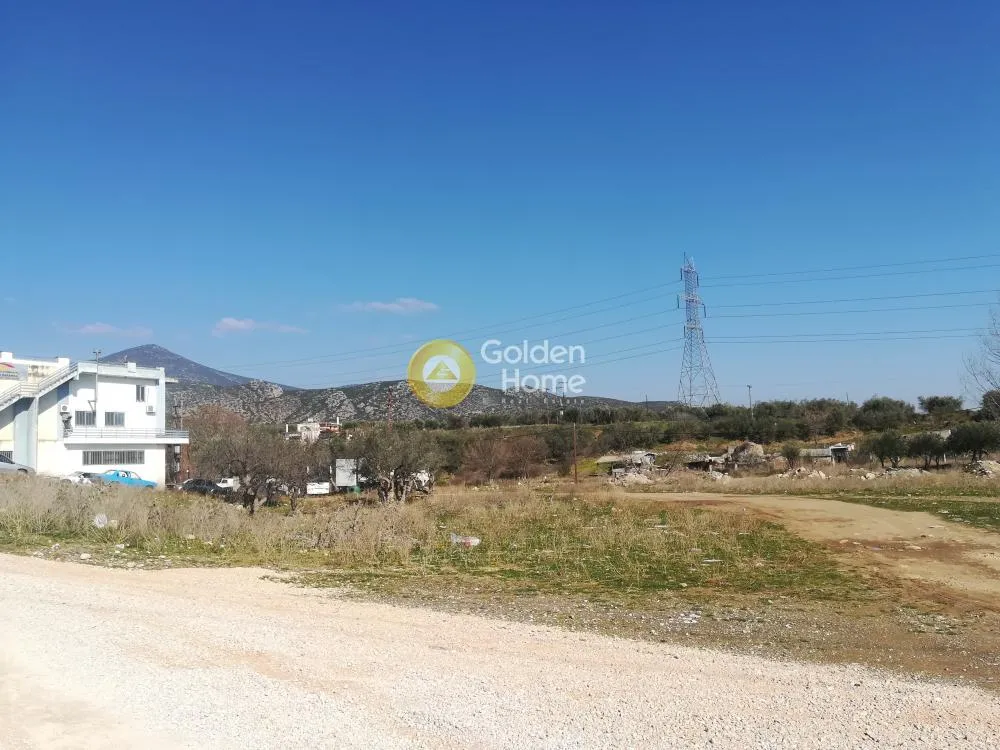 Jardin - Commercial Plot with Unobstructed View in Lamia Centre