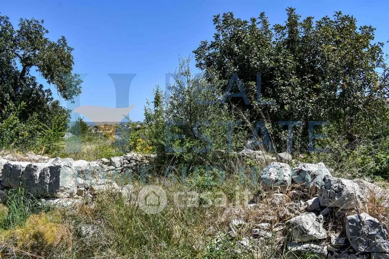 Garden - Rustic Cottage with Olive Grove in Modica