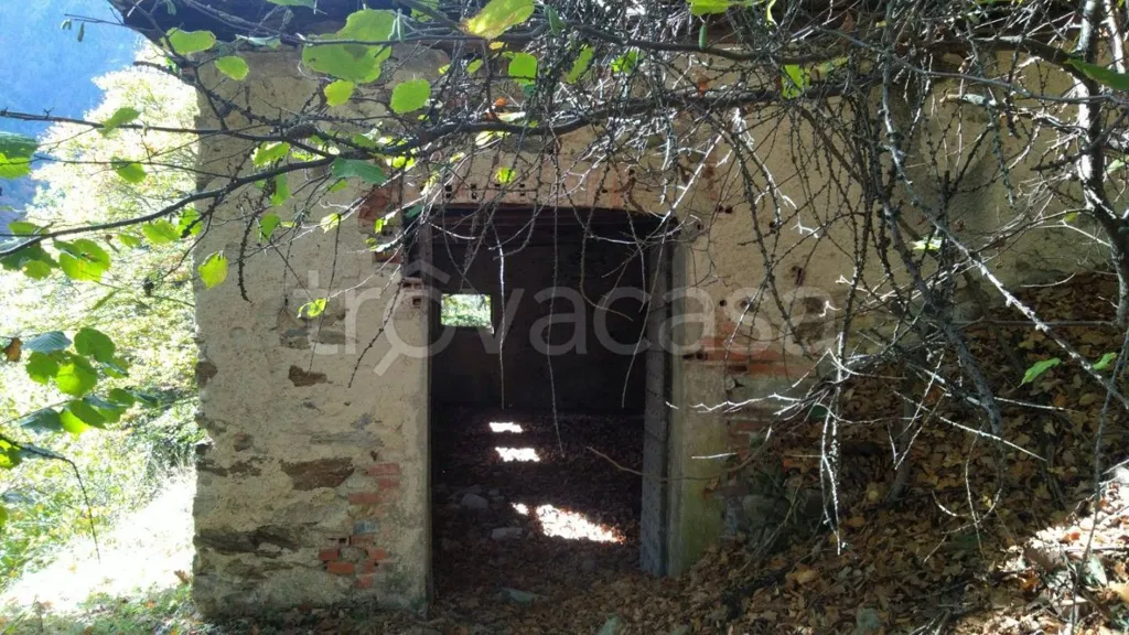 Aed - Rustic Complex for Restoration in Sampeyre