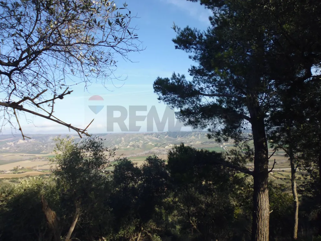 Jardin - Agricultural Land with Olive Trees in Pisticci