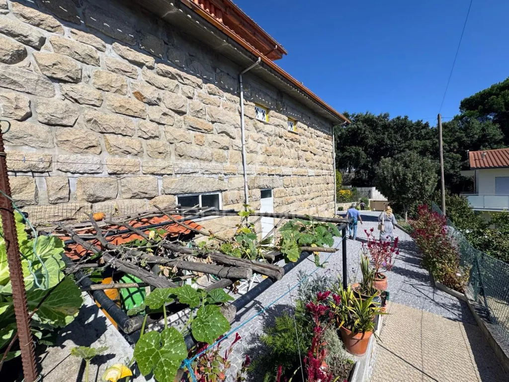 Garden - Detached House with Solar Exposure in Guimarães