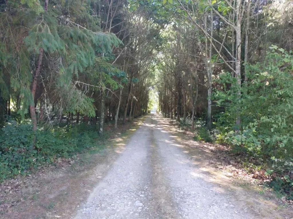 Esterno - Forest Property with Pool in Valdivienne
