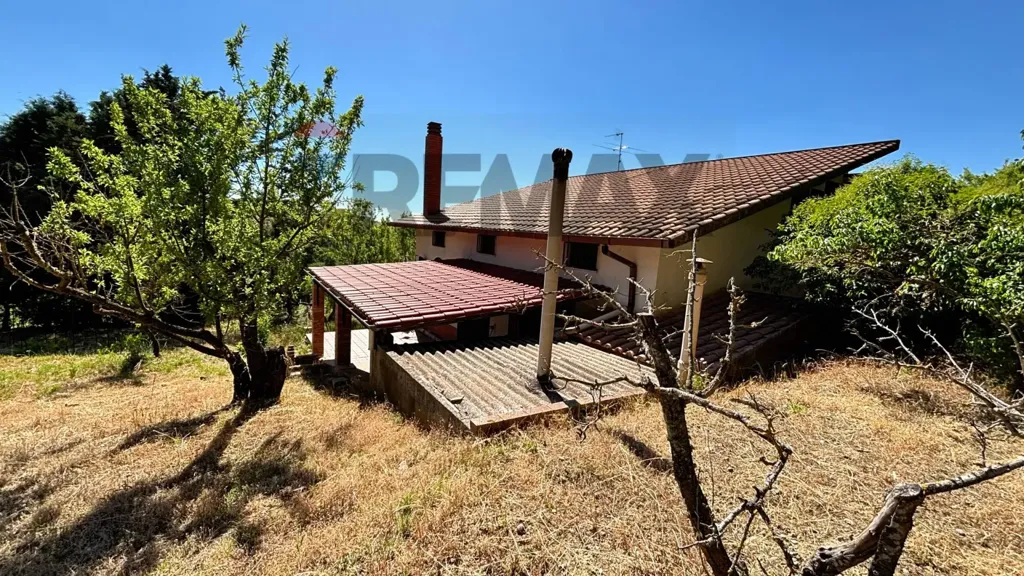 Välivaade - Villa with Olive Grove in Alimena