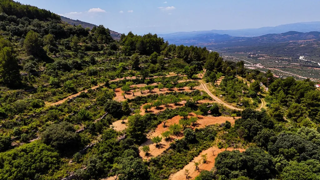 Aed - Eco-Resort Platform with DIC in Sierra Engarcerán