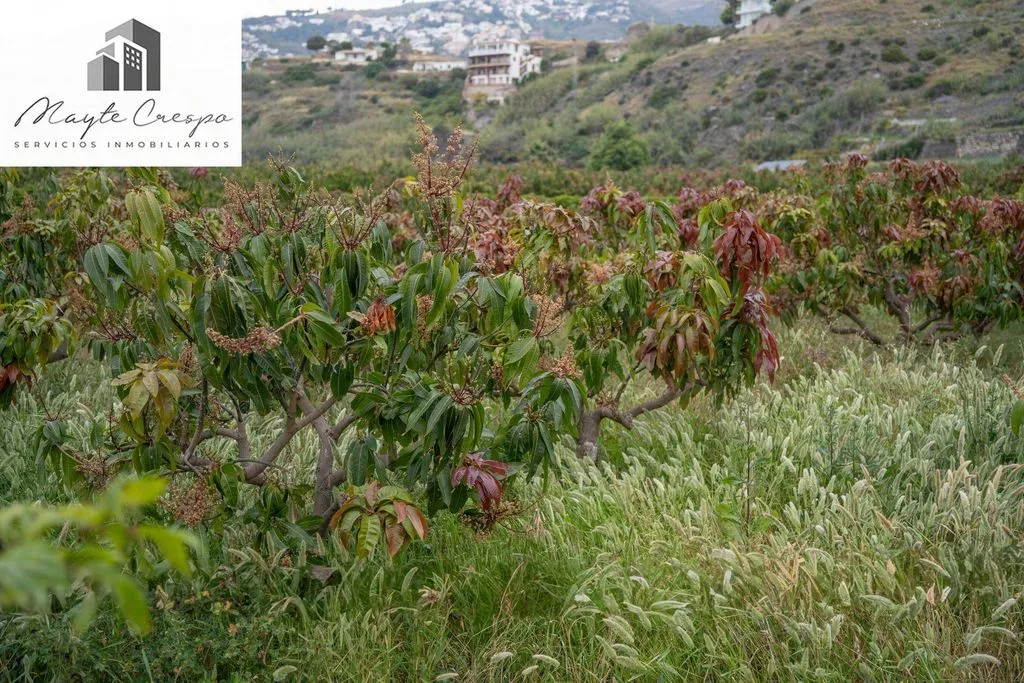 Aed - Development Land with Sea View in Salobreña