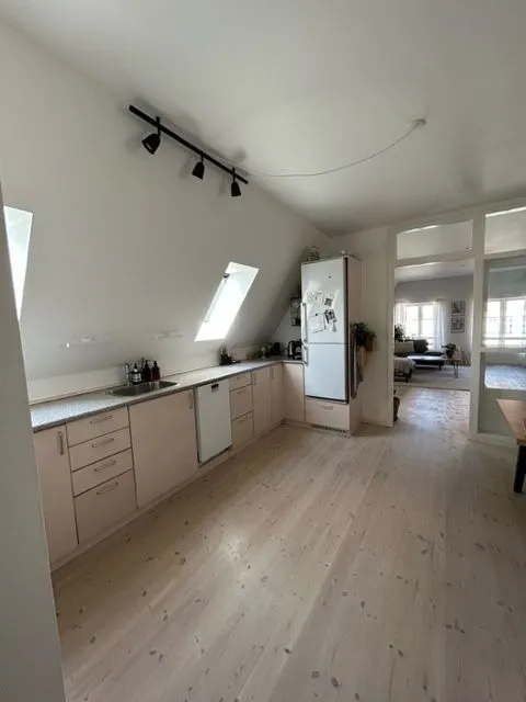 Kitchen - Bright Apartment with Garden View in Haderslev