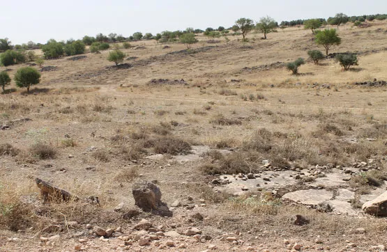 Aed - Land Parcel in Campo de Criptana, Ciudad Real