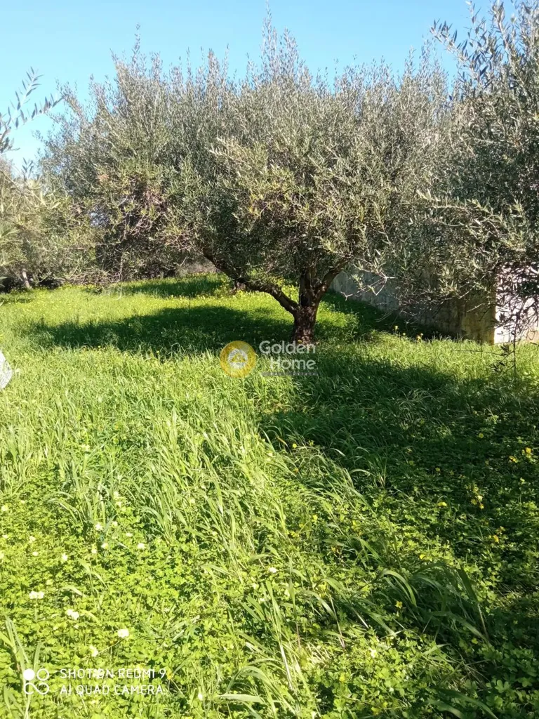 Aed - Plot with Panoramic Sea View in Heraklion, Crete