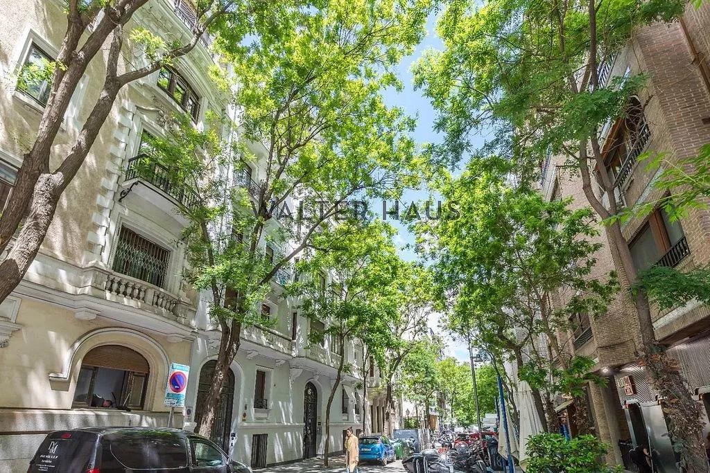 Välivaade - Modern Flat with Terrace in Recoletos, Madrid