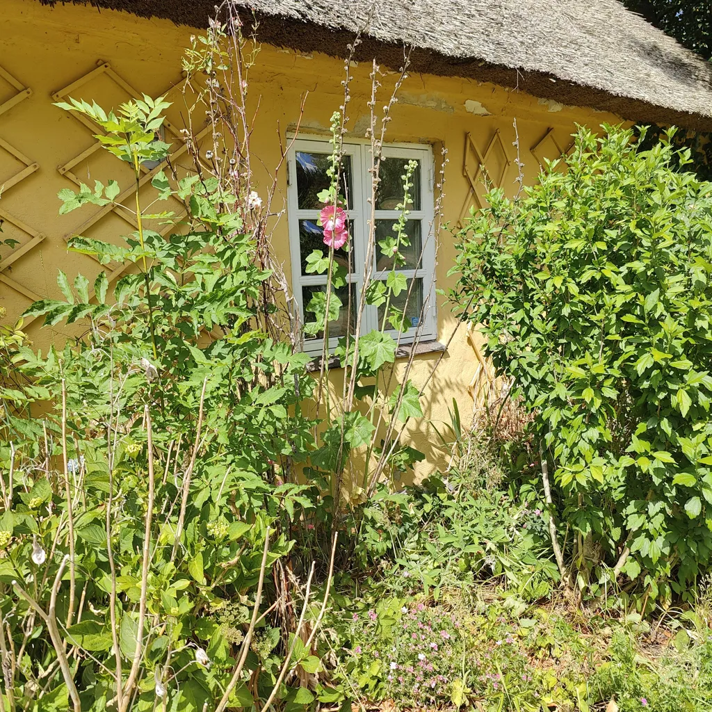 Extérieur - Handcrafted Cottage with Unique Garden in Kielstrup
