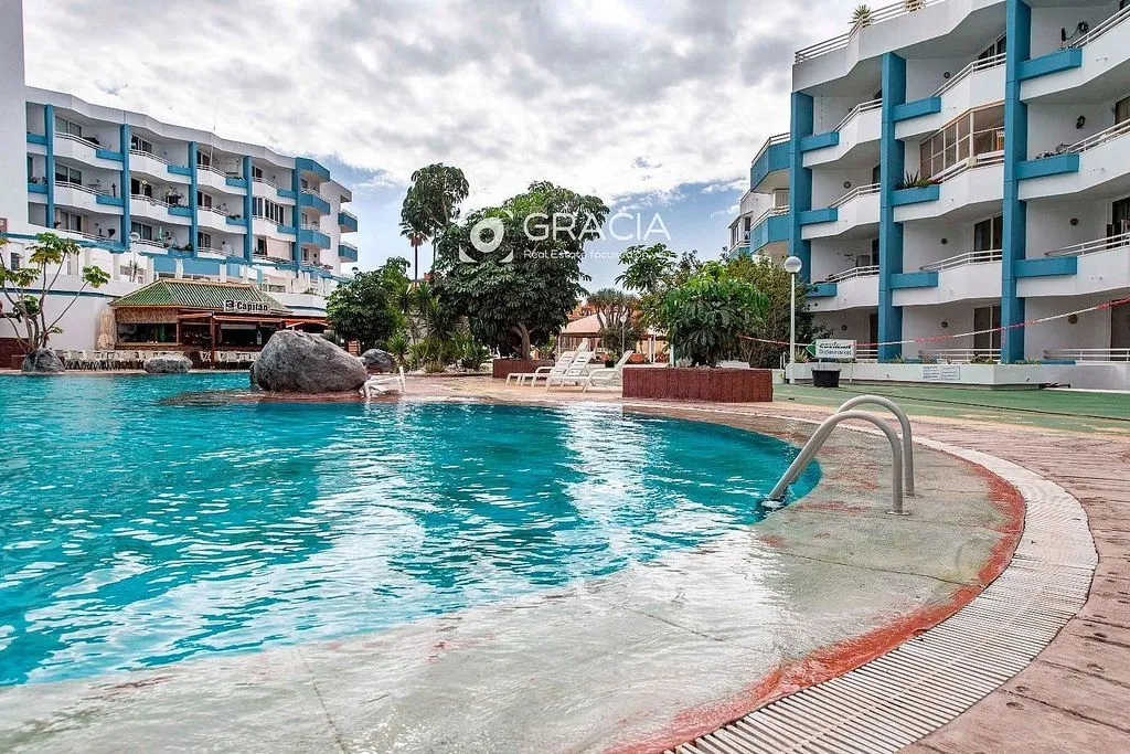 Bassein - Renovated Studio with Terrace in Golf del Sur