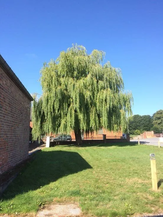 Aed - Renovated Farmhouse with Terrace in Gottignies