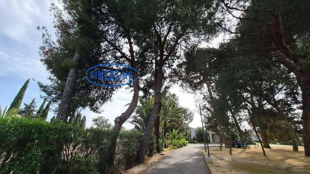 Extérieur - Estate with Pool and Garden in Mutxamel