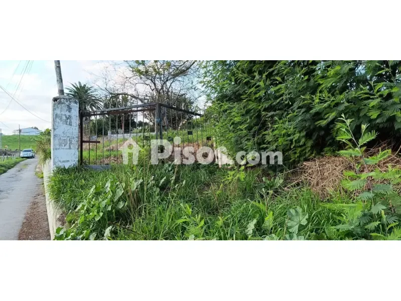 Jardin - Rustic Finca with Land in Noreña